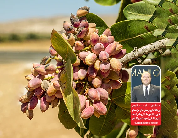پیش از کاشت بازار را بخوانیم