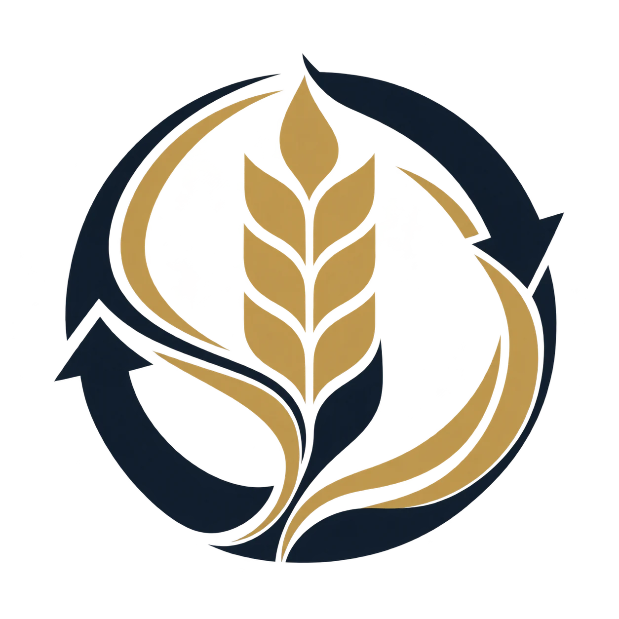 باران صنعت پیمان